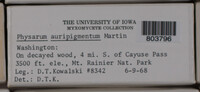 Image Associated With the Occurence